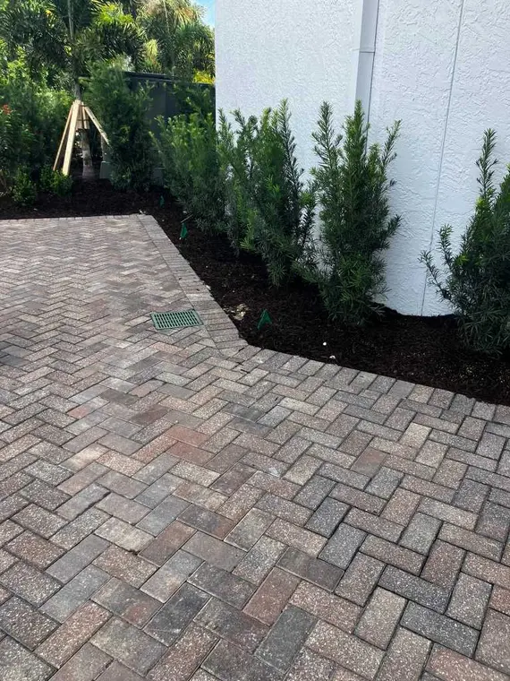 Brick paver garden walkway with dark mulch and planting